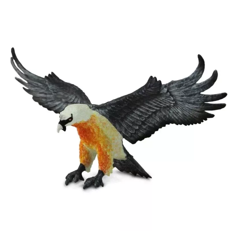 108200 Bearded Vulture