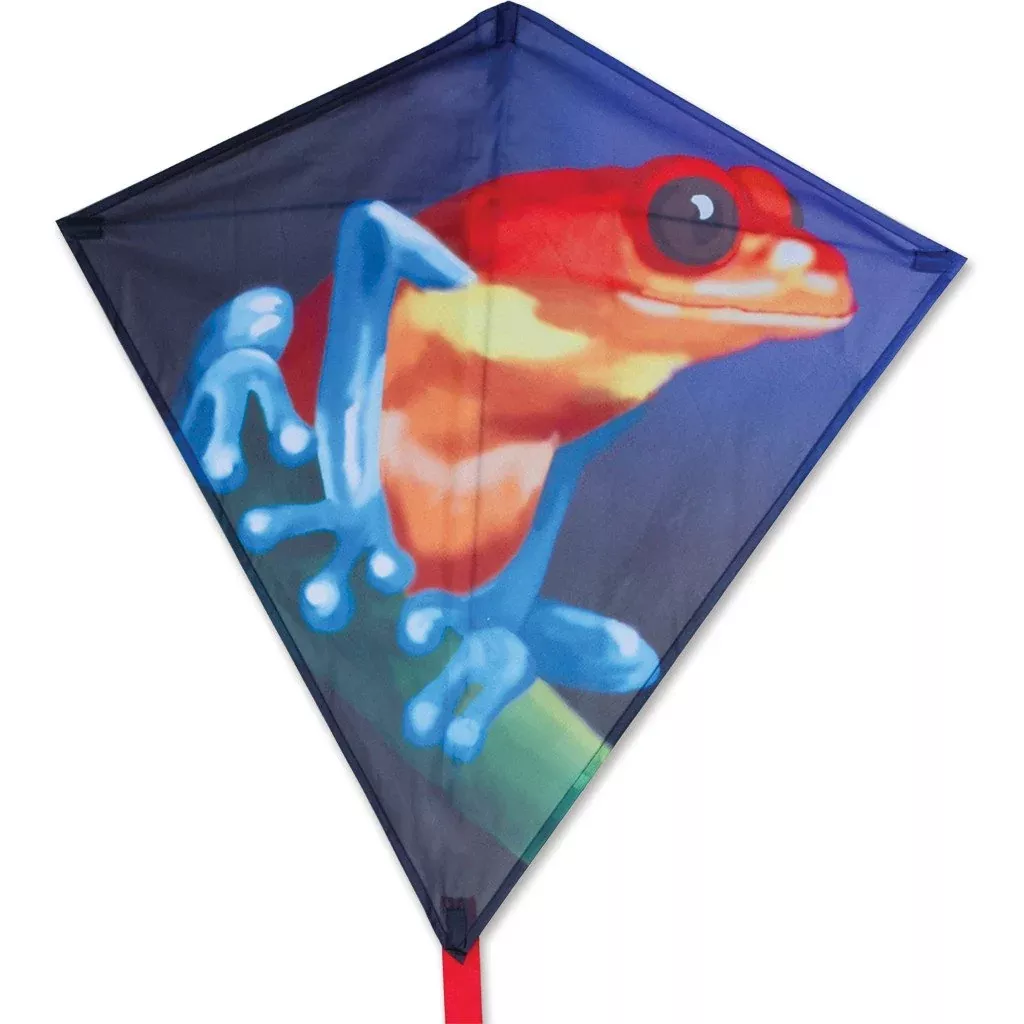30 Inch Diamond Kite - Tropical Frog