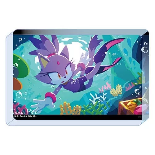 Acrylic Block SONIC PICT 2023/08 - Sonic the Hedgehog