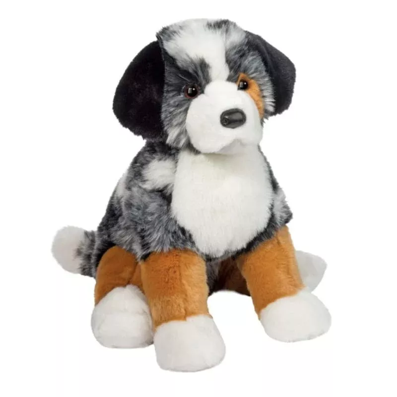 Aspen Australian Shepherd