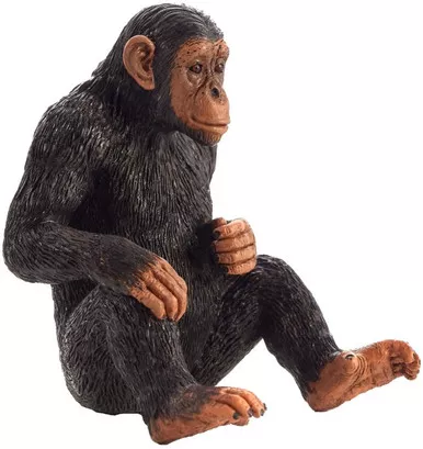 Chimpanzee (Mojo)
