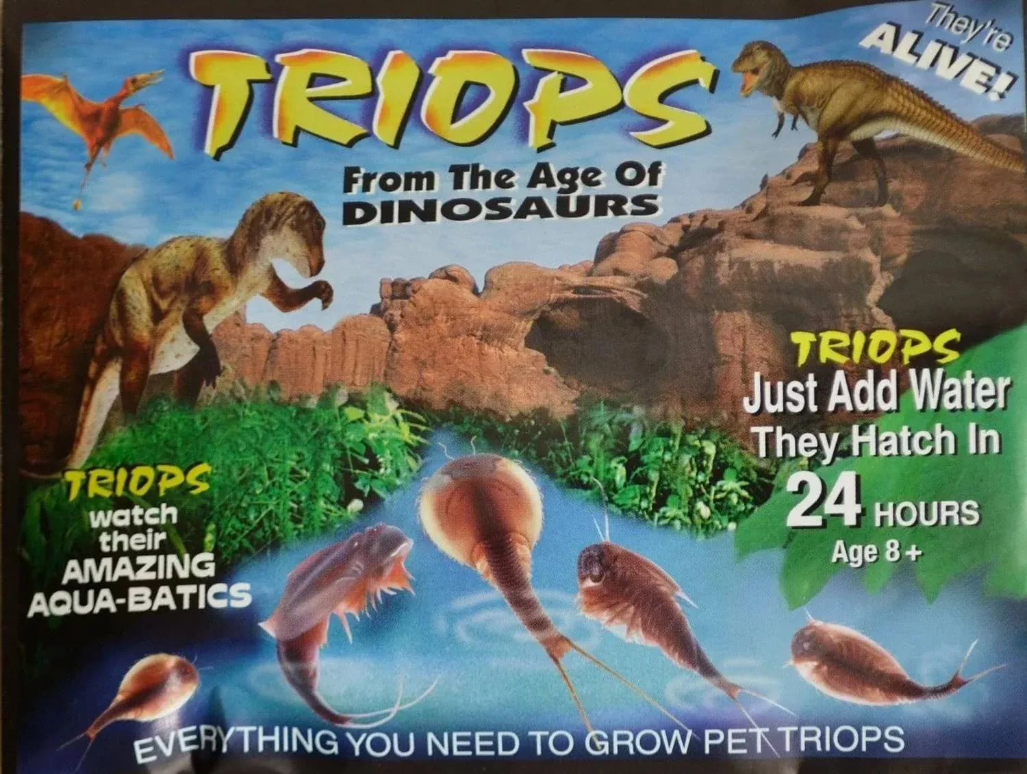 Countertop Triops
