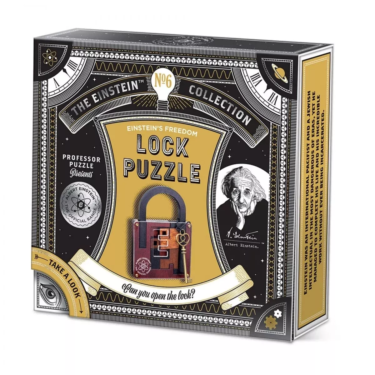 Einstein Collection Lock Puzzle