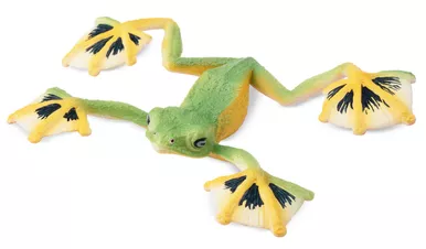 Frog - Wallace's Flying (Toymany)