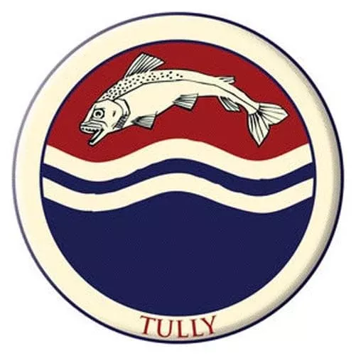 Game Of Thrones Embroidered Patch: Tully