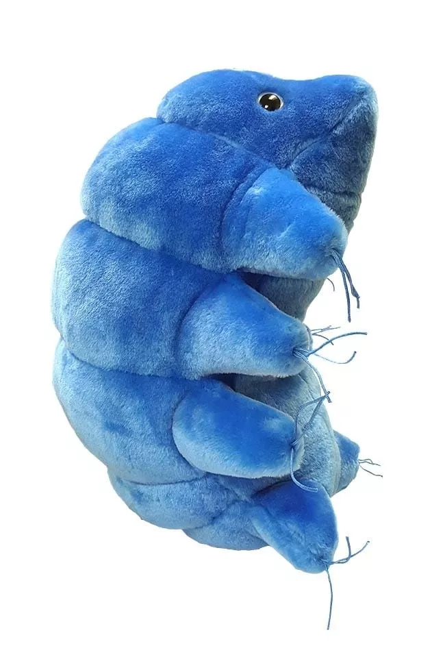 Gigantic Watebear (Tardigrade)