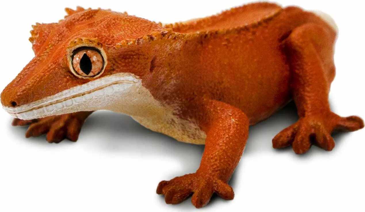 Incredible Creature Crested Gecko