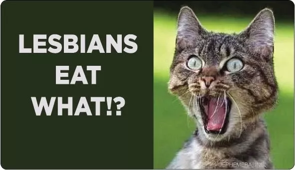 Lesbians Eat What Bumper Sticker Cat