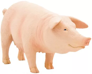 Pig (Mojo)