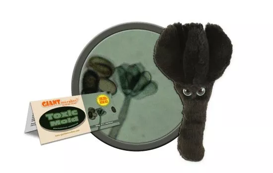 Plush Toxic Mold