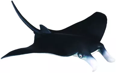 Ray Manta (CollectA)