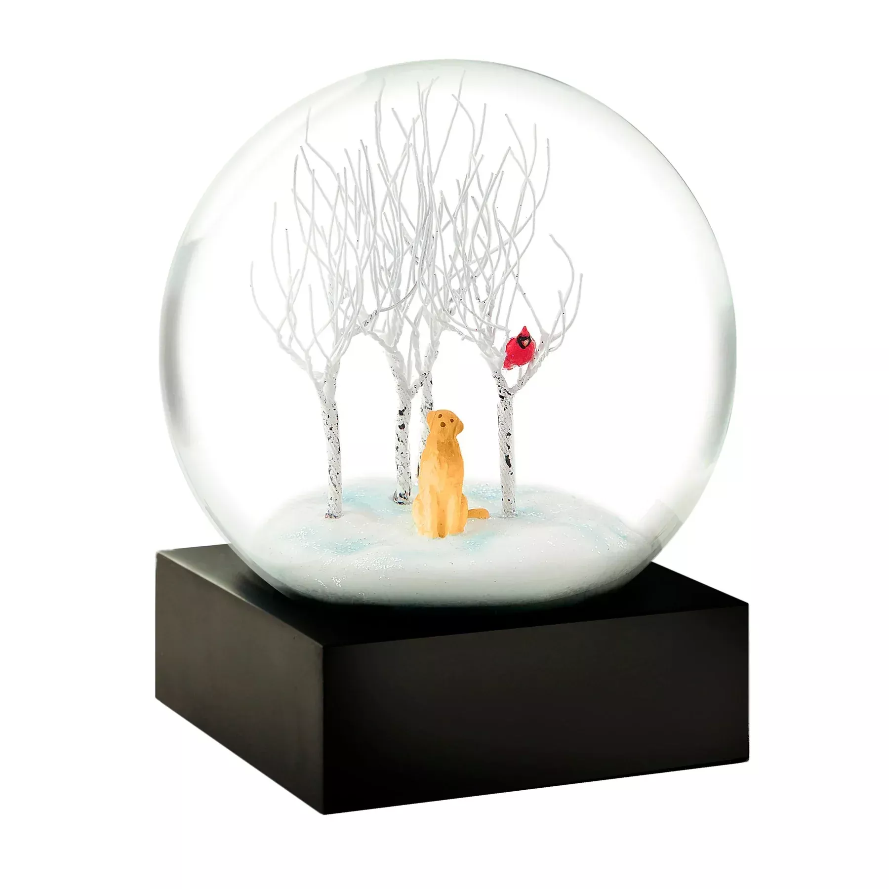 Snow Globe Lab In Woods