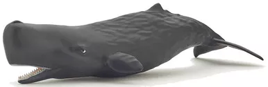 Whales - Sperm - Calf (Papo)